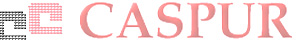 consorzio caspur